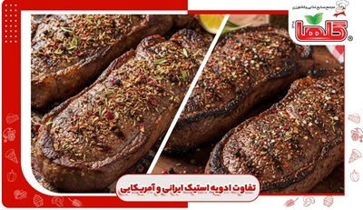 تفاوت چاشنی استیک ایرانی و آمریکایی؛ کدام انتخاب برای استیک شما بهتر است؟